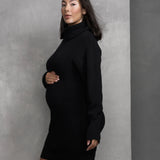 Margot Turtle Neck Dress