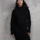 Margot Turtle Neck Dress