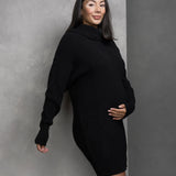 Margot Turtle Neck Dress