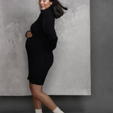 Margot Turtle Neck Dress