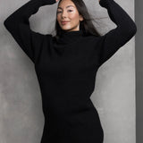 Margot Turtle Neck Dress